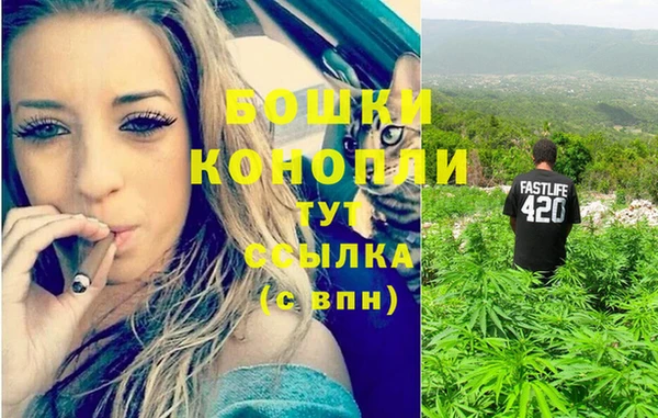 сатива Краснотурьинск