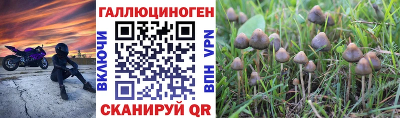Купить закладки  Оленегорск  Галлюциногенные грибы ЛСД 